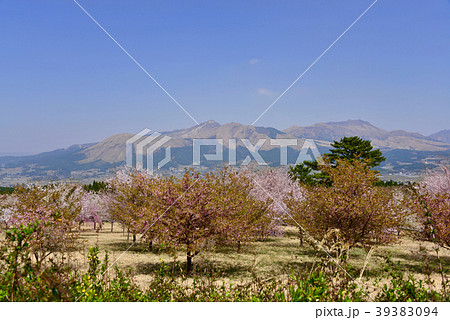 阿蘇アスペクタからの眺め 阿蘇アスペクタからの眺め 39383094