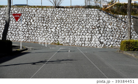 坂道の丁字路 39384451