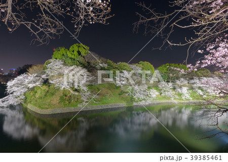 千鳥ヶ淵 千鳥ヶ淵 39385461
