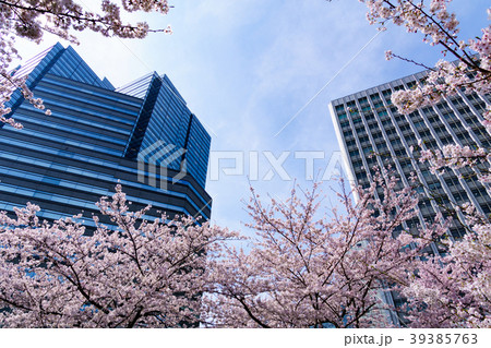 目黒川沿いの桜 その８ ゲートシティ大崎の写真素材