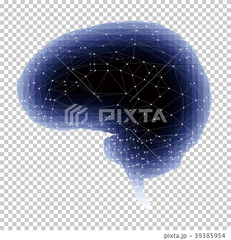 脳 脳 39385954