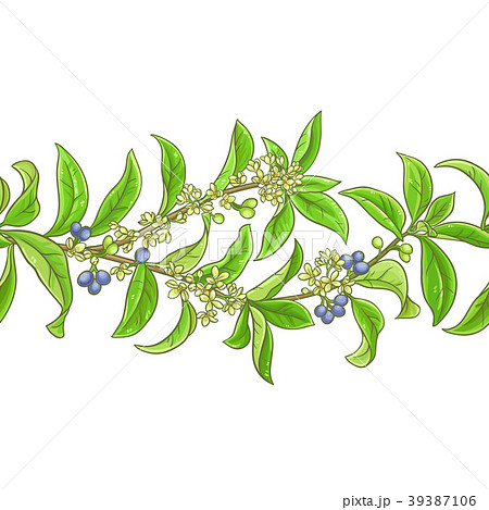 osmanthus  vector pattern 39387106