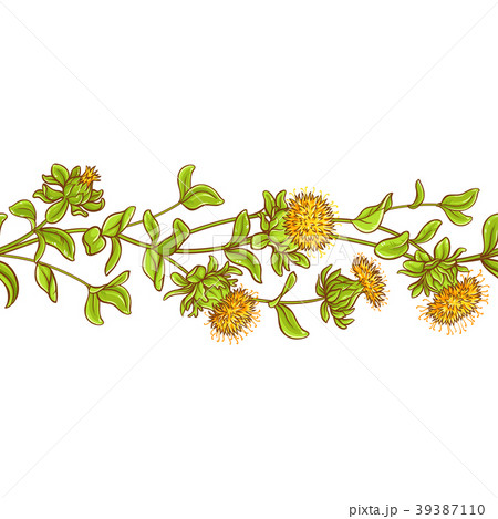 safflower plant vector pattern 39387110