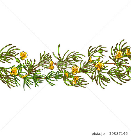 rooibos branch vector pattern rooibos branch vector pattern 39387146