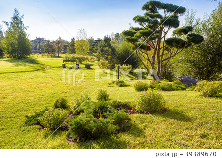 Beautiful landscaping in public nature park Beautiful landscaping in public nature park 39389670
