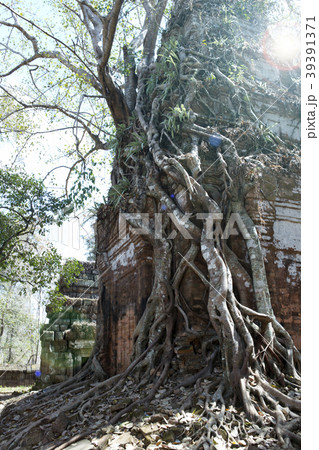 Koh Ker temple complex, Siem Reap, Cambodia 39391371