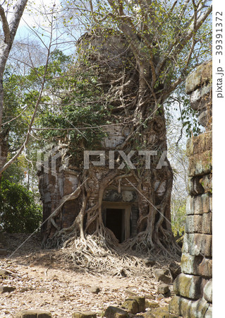 Koh Ker temple complex, Siem Reap, Cambodia 39391372