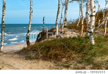 sea wave, storm at sea 39392033