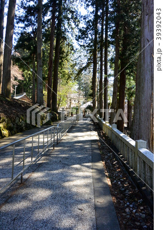 飛騨市にある「気多若宮神社」 飛騨市にある「気多若宮神社」 39392043