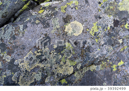 background, texture: surface of a granite boulder  39392499
