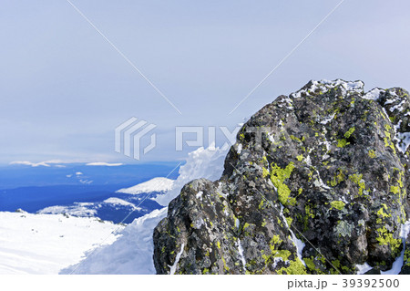 covered with lichen boulder in the highlands covered with lichen boulder in the highlands 39392500