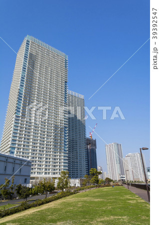 東京湾岸都市　晴海臨海公園 39392547