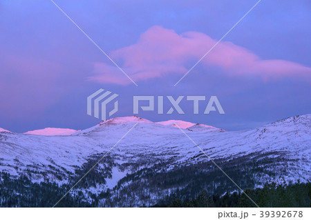 gently pink sunset over snowy mountains gently pink sunset over snowy mountains 39392678