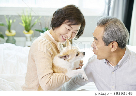 犬 子犬 本 39393549