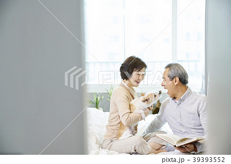 犬 子犬 本 39393552
