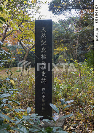 天然記念物及び史跡の碑（東京都港区） 39394337