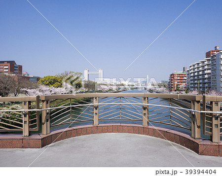 名古屋熱田区都市風景　御陸橋から名古屋国際会議場と名古屋駅中心部を望む 39394404