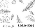 Hand drawn frame of leaves and plants. 39394594