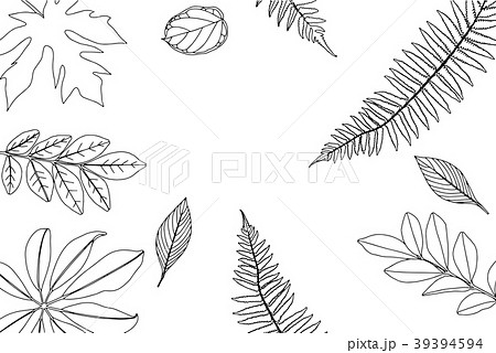 Hand drawn frame of leaves and plants. 39394594