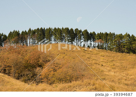 砥峰高原　起伏のある山　（兵庫県神崎郡神河町） 39394687