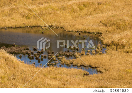 砥峰高原　池の様子　（兵庫県神崎郡神河町） 39394689
