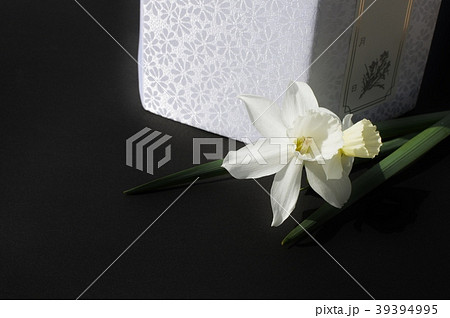 水仙 水仙 39394995