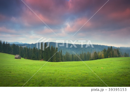 Green valley at the sunrise 39395153