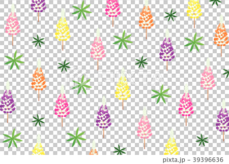 羽扇豆 羽扇豆 39396636