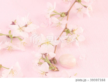桜の花のクローズアップ 桜の花のクローズアップ 39397168