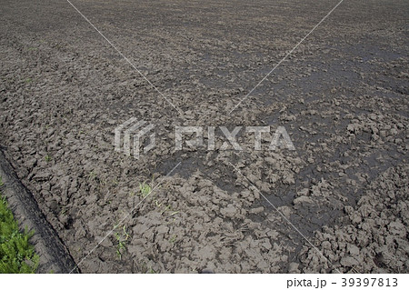 田起こし 39397813