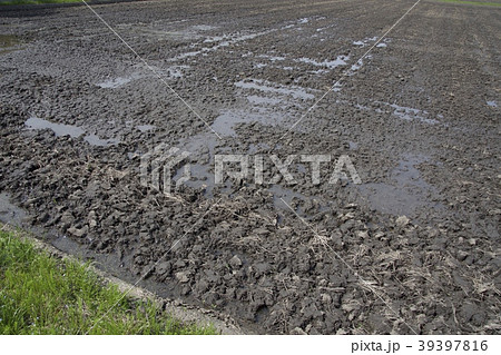 田起こし 田起こし 39397816