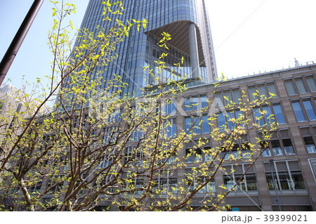 日比谷界隈風景 39399021