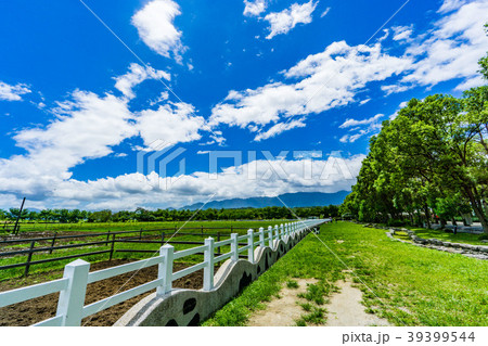 台湾 花蓮 みずほ 39399544