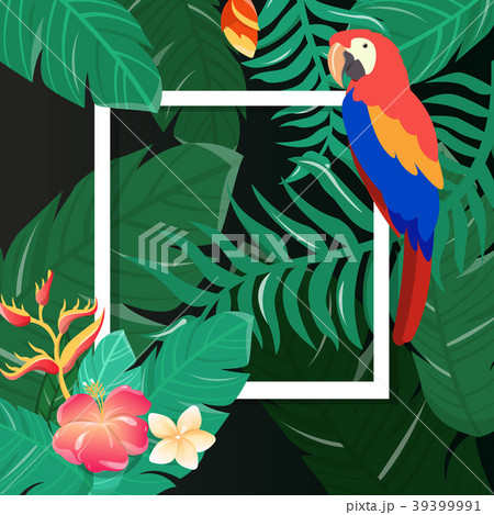 Tropical Background Summer Design Vector のイラスト素材