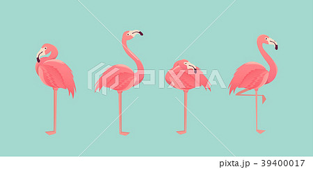 Set of flamingos on background. illustration. 39400017