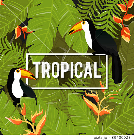 Tropical Background. Summer Design. Vector. Tropical Background. Summer Design. Vector. 39400023