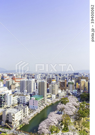 福岡都市風景 桜満開の天神中央公園 福岡都市風景 桜満開の天神中央公園 39400062