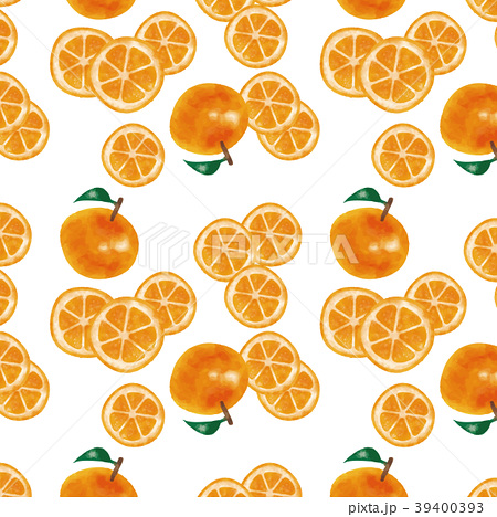 新しいコレクション オレンジ 輪切り イラスト 乾いた壁