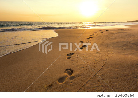 Landscape of sunset on the beach Landscape of sunset on the beach 39400664