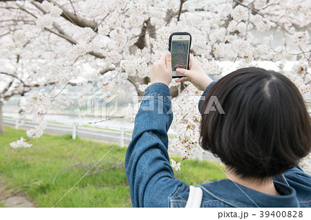 スマホで桜を撮る若い女性　後ろ姿 39400828