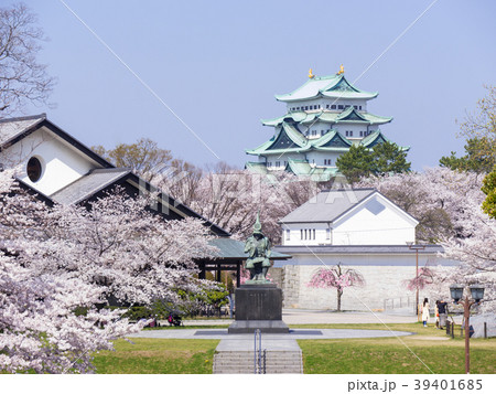名古屋城と桜 39401685