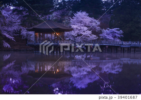 浮見堂の春 浮見堂の春 39401687