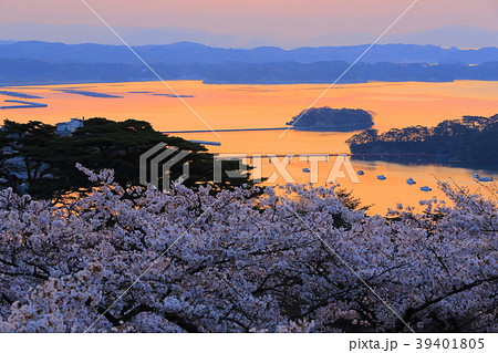 春の松島 春の松島 39401805