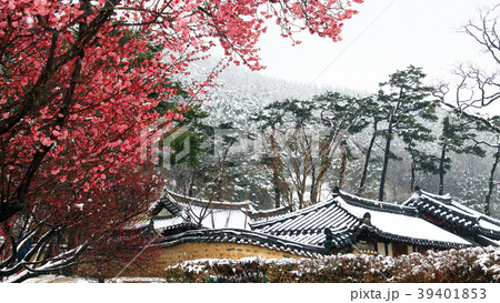 大邱 紅梅 古宅 39401853