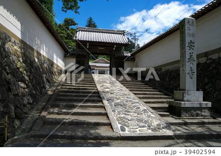 郡上 安養寺 郡上 安養寺 39402594