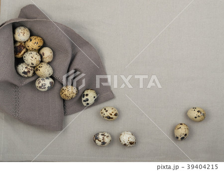 Quail Eggs on Grey Background Quail Eggs on Grey Background 39404215