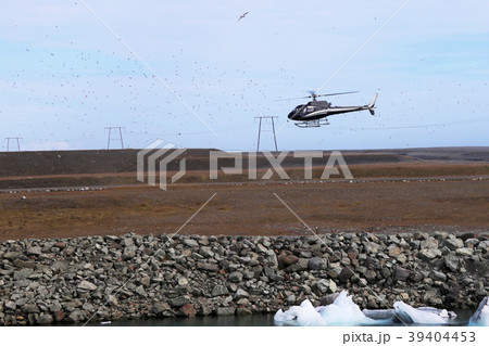 Helicopter landing surrounded by flock of birds Helicopter landing surrounded by flock of birds 39404453
