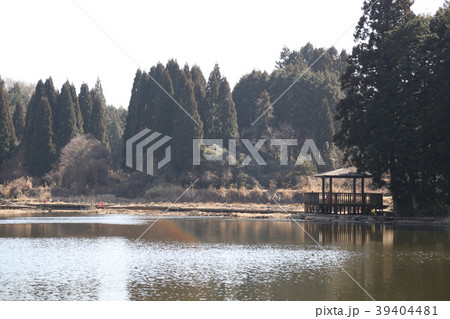 龍王ケ渕(りゅうおうがぶち) 奈良県宇陀市 水鏡 龍王ケ渕(りゅうおうがぶち) 奈良県宇陀市 水鏡 39404481