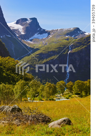 Meadow near Briksdal glacier - Norway 39405709