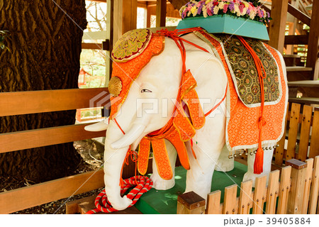 釈尊降誕花まつり 39405884